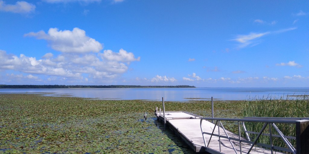Trip Pertama di Florida, Back to Nature: Oakland Nature&nbsp;Preserve